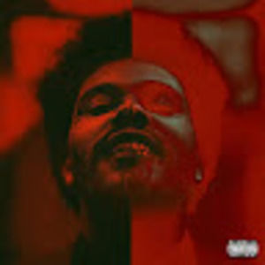 Meet your Posher, Blout amir